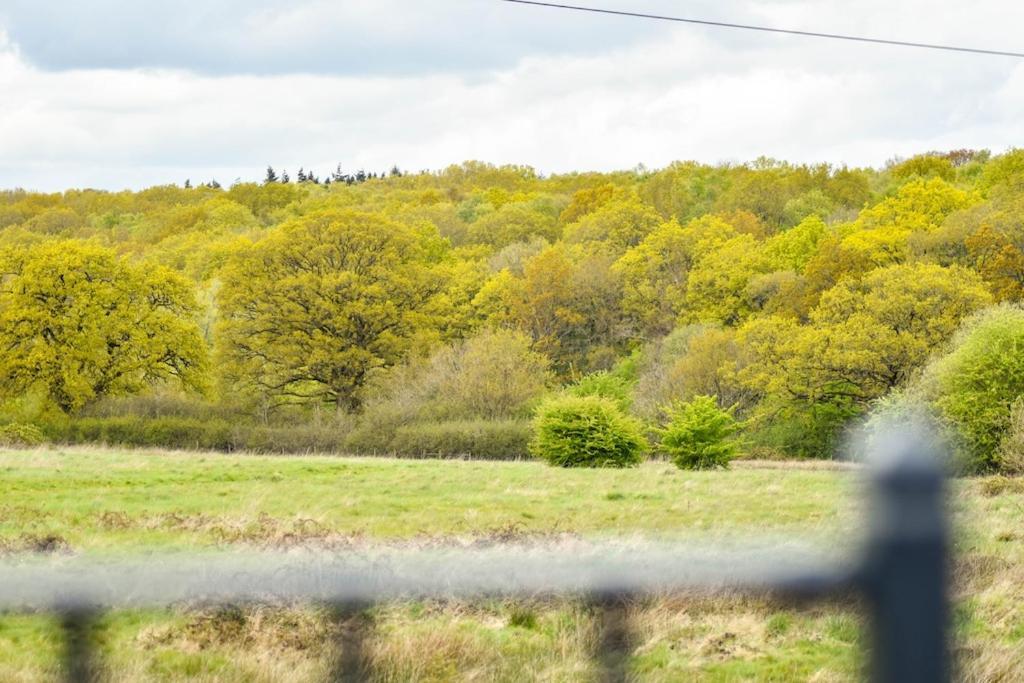 HankertonThe Lookout At Cloatley Meadowアパートメント エクステリア 写真